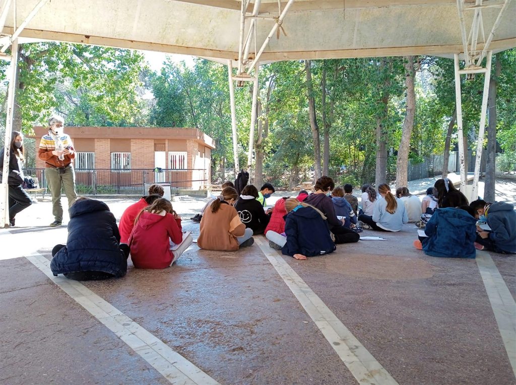 Alumnes de l'Escola Bosc de Montjuïc asseguts en cercle a l'aire lliure durant una sessió del projecte de coaching educatiu Ens ajudem a créixer
